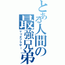 とある人間の最強兄弟（マリオブラザー）