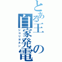 とある王の自家発電（シコリヨルン）