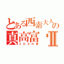 とある西索大人の真高富帅Ⅱ（３ＤＳの家）