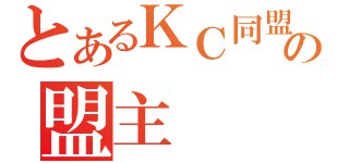 とあるＫＣ同盟の盟主（）