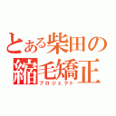 とある柴田の縮毛矯正（プロジェクト）