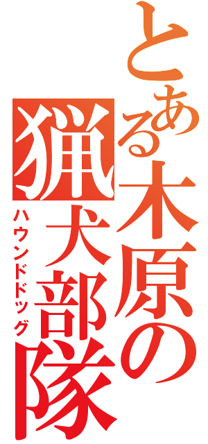 とある木原の猟犬部隊（ハウンドドッグ）