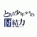 とある少年少女の団結力（皆、仲良し！！！）