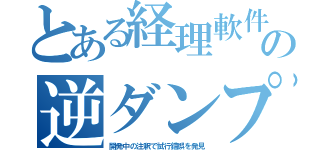 とある経理軟件の逆ダンプ（開発中の注釈で試行錯誤を発見）