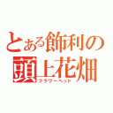 とある飾利の頭上花畑（フラワーヘッド）