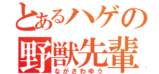 とあるハゲの野獣先輩（ながさわゆう）