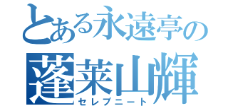 とある永遠亭の蓬莱山輝夜（セレブニート）