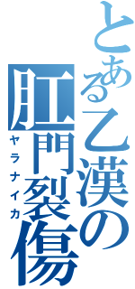 とある乙漢の肛門裂傷（ヤラナイカ）