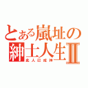 とある嵐址の紳士人生Ⅱ（此人已成神）