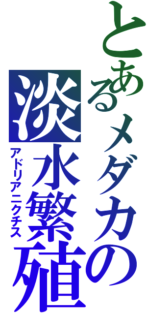 とあるメダカの淡水繁殖（アドリアニクチス）