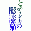 とあるメダカの淡水繁殖（アドリアニクチス）