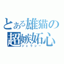 とある雄猫の超嫉妬心（ジェラシー）