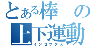 とある棒の上下運動（インセックス）