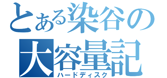 とある染谷の大容量記憶装置（ハードディスク）