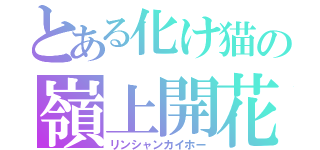 とある化け猫の嶺上開花（リンシャンカイホー）