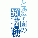 とある学園の筑紫瑞穂（俺の嫁）