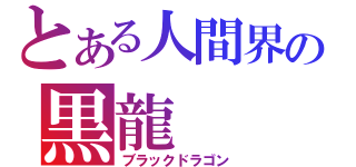 とある人間界の黒龍（ブラックドラゴン）