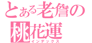 とある老詹の桃花運（インデックス）