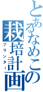 とあるなめこの栽培計画（プランター）