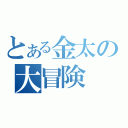 とある金太の大冒険（）