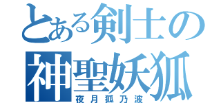 とある剣士の神聖妖狐（夜月狐乃波）