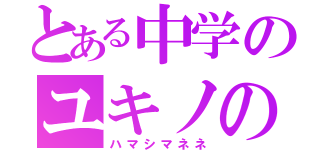 とある中学のユキノのお嬢様（ハマシマネネ）