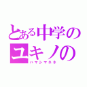 とある中学のユキノのお嬢様（ハマシマネネ）