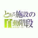 とある施設の自動階段（エスカレーター）