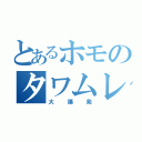 とあるホモのタワムレ（大爆発）