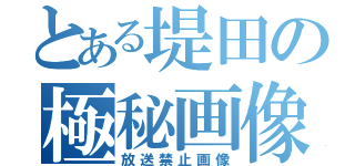 とある堤田の極秘画像（放送禁止画像）