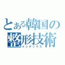 とある韓国の整形技術（インデックス）