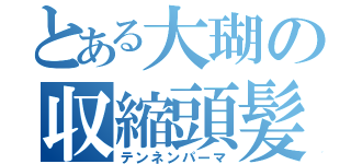 とある大瑚の収縮頭髪（テンネンパーマ）