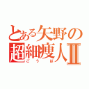 とある矢野の超細痩人Ⅱ（ご う  ば）