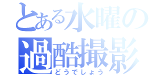 とある水曜の過酷撮影（どうでしょう）