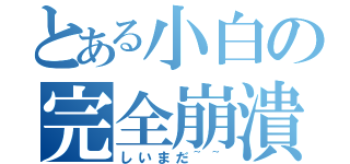 とある小白の完全崩潰（しいまだ~~）