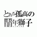 とある孤高の青年獅子（インデックス）