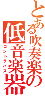 とある吹奏楽の低音楽器（コントラバス）