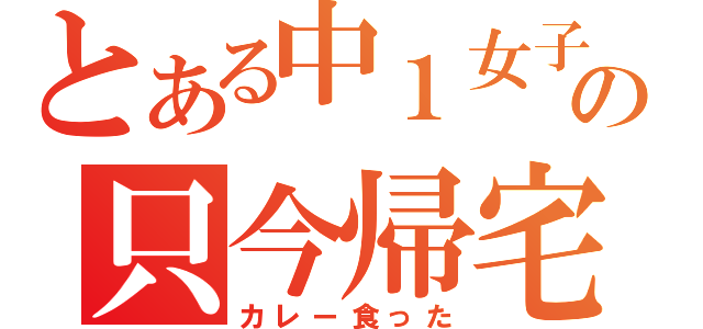 とある中１女子の只今帰宅（カレー食った）