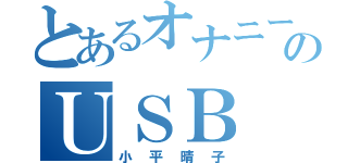 とあるオナニーのＵＳＢ（小平晴子）