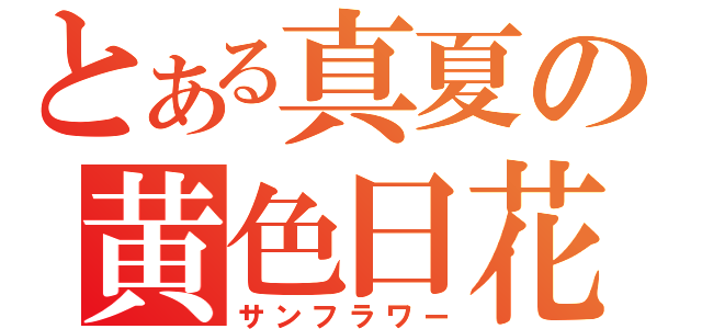 とある真夏の黄色日花（サンフラワー）