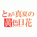 とある真夏の黄色日花（サンフラワー）