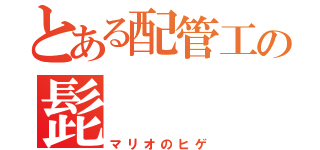 とある配管工の髭（マリオのヒゲ）