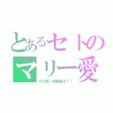 とあるセトのマリー愛（その時…絵里香は？！）