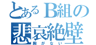 とあるＢ組の悲哀絶壁（胸がない）