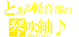 とある軽音部の琴吹紬♪（むぎゅうううううう）