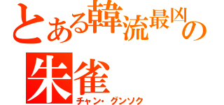 とある韓流最凶の朱雀（チャン・グンソク）