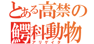 とある高禁の鰐科動物（アリゲイタ）