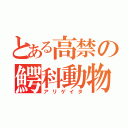 とある高禁の鰐科動物（アリゲイタ）