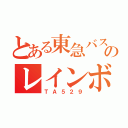 とある東急バスのレインボー（ＴＡ５２９）