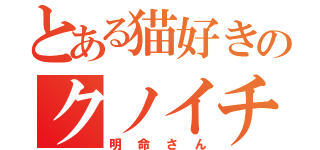 とある猫好きのクノイチ（明命さん）